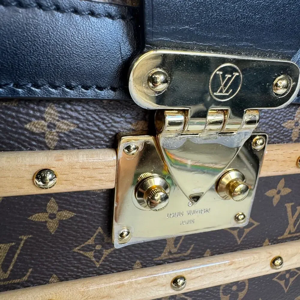 Louis Vuitton Trianon Trunk bag PM Monogram Wood LV crossbody tote Rare Handbag
